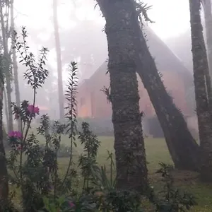 https://bosque-das-araucrias-campos-do-jordao.camposdojordaohotels.net